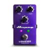 Ampeg - Liquifier - Analog Bass Chorus - Image 6