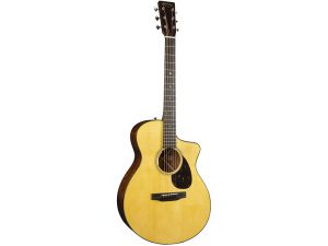 Martin SC-18E w/LR Baggs Anthem