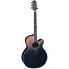 Takamine LTD 2024