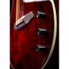 Rathbone Showmaster Thinline Semi-Hollow Cutaway Electro-Acoustic - Image 3