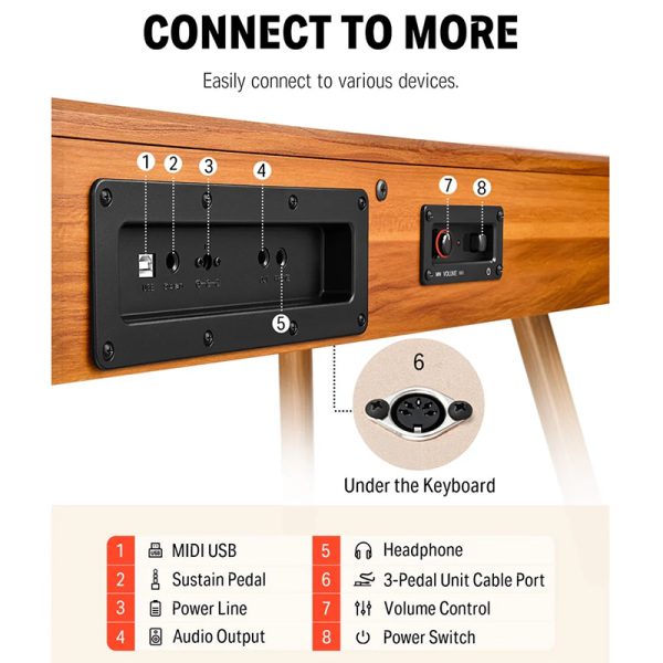 Donner DDP80 - Upright Digital Piano Home Set - Walnut - Image 3