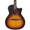 Vintage REVO ELEKTRA - Sunburst Silk - Image 6