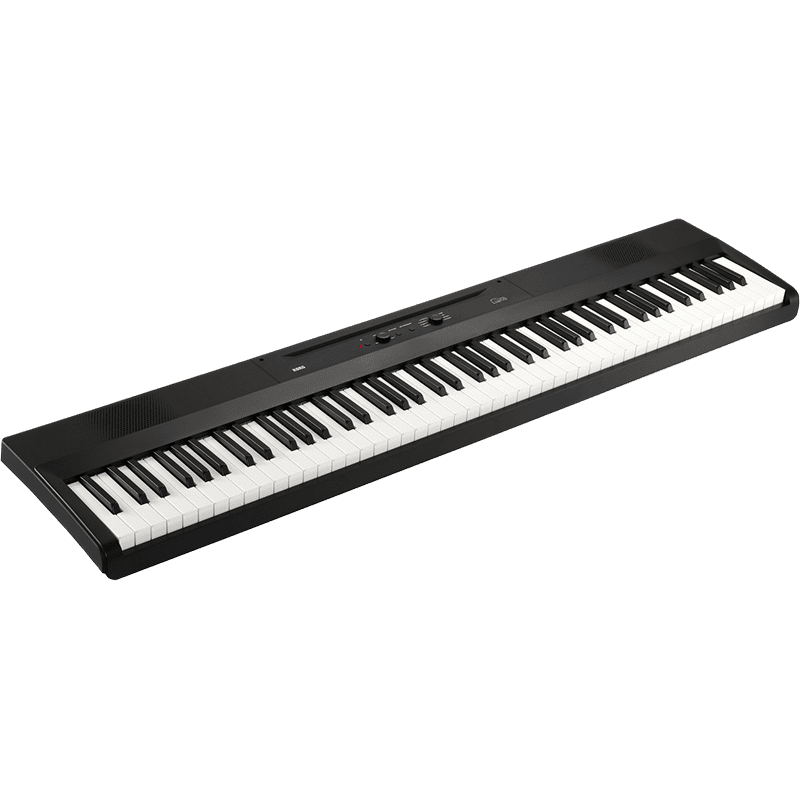 KORG Liano - Digital Piano - Black w/Keyboard Stand - Image 2