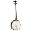 Tanglewood TUB4 - Union Series Tenor Banjo