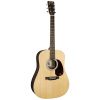 Martin D-X2E - Billy Strings
