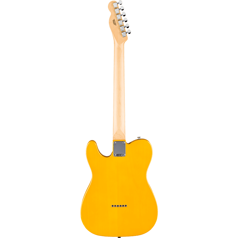 Fender Standard Telecaster - MN - BPG - Butterscotch Blonde - Image 2