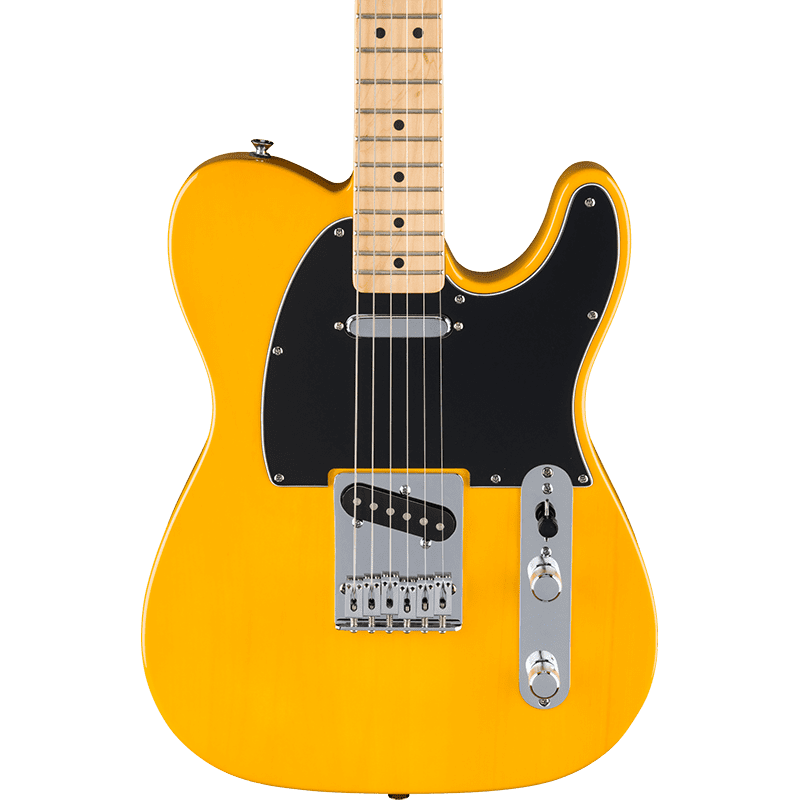 Fender Standard Telecaster - MN - BPG - Butterscotch Blonde - Image 4