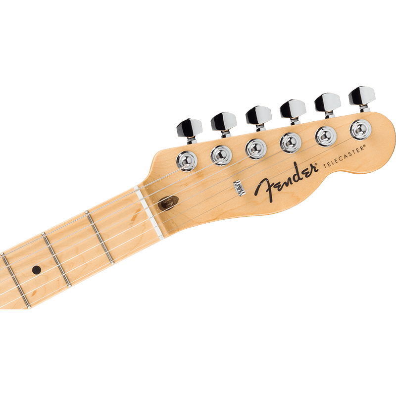 Fender Standard Telecaster - MN - BPG - Butterscotch Blonde - Image 5