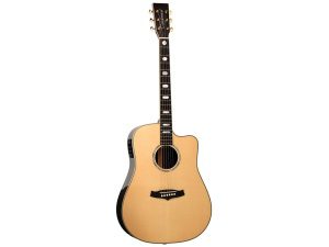 Tanglewood Heritage Series TW1000 HSR CE