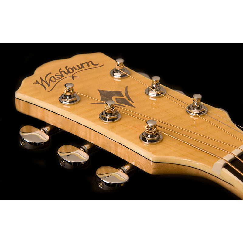 Washburn EA-20 - Natural - Image 2