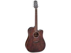 Takamine GD21CE-SM