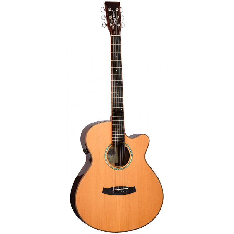 Tanglewood Rosewood Smart TRS4-CE