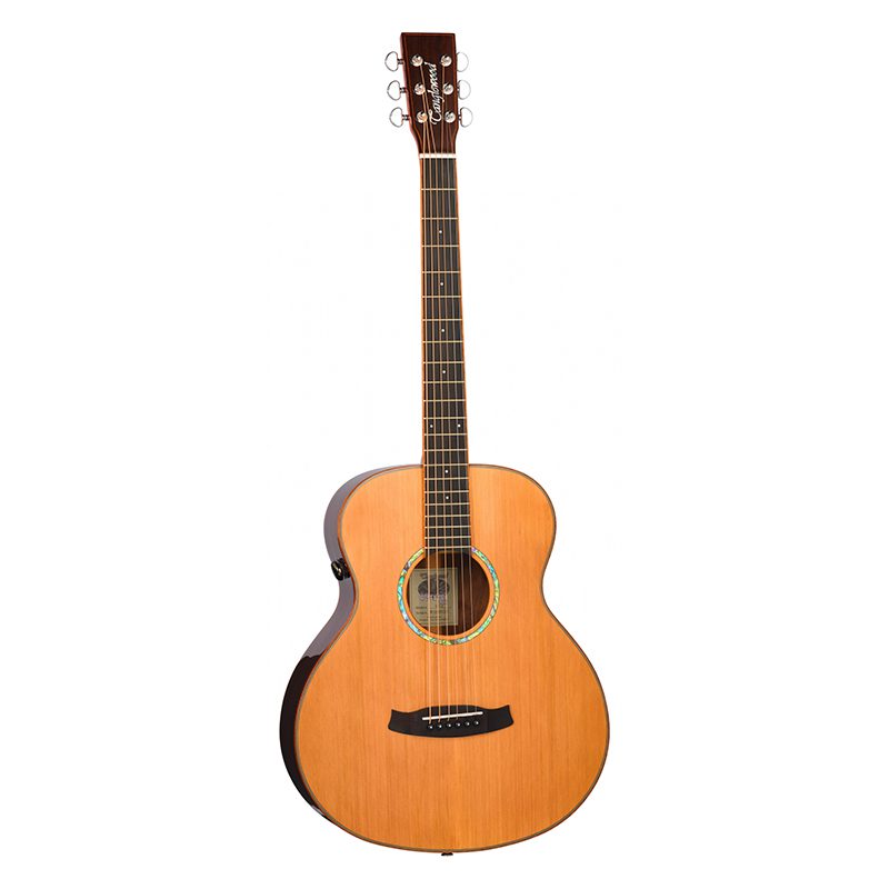 Tanglewood Rosewood Smart Mini - TRS1E