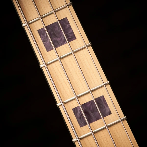 Spector NC-4 Frank Bello - Tina Rose - Image 7