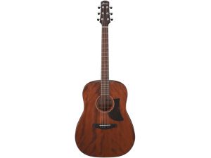 Ibanez Advanced Acoustic AAD140 - Open Pore Natural