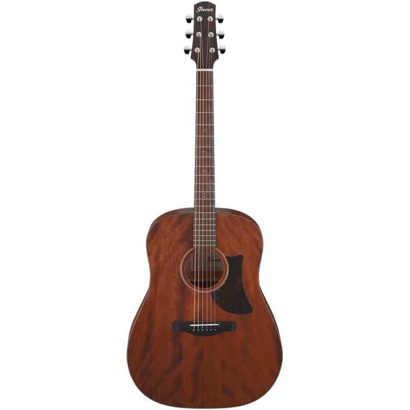 Ibanez Advanced Acoustic AAD140 - Open Pore Natural