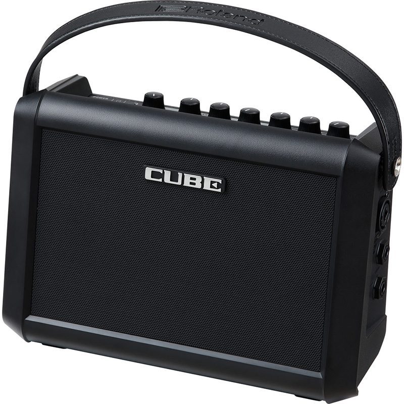 Roland Cube Street Mini - Multi-Instrument Battery Amplifier